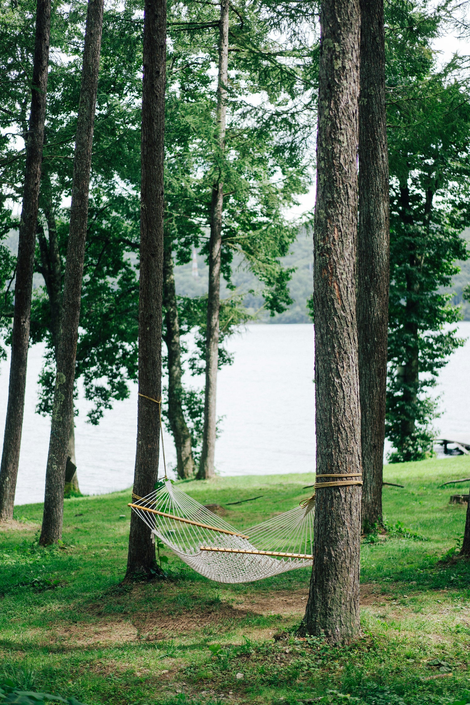Hammock tied between trees near water for relaxing