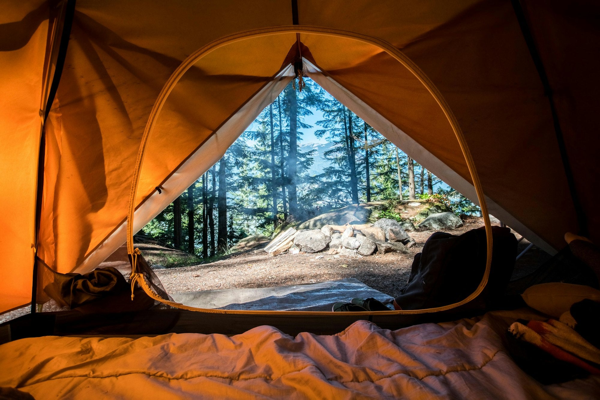 CampOnGo campsite with tent among the trees at golden hour