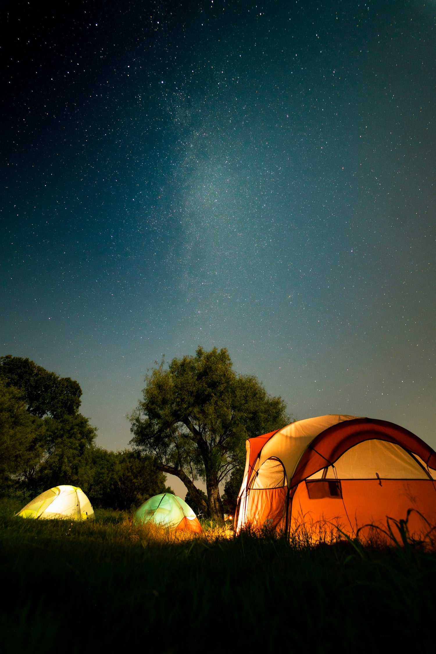 Tents pitched in a green field at golden hour